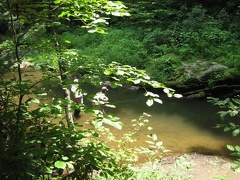 Doe River 28Jun09  6 